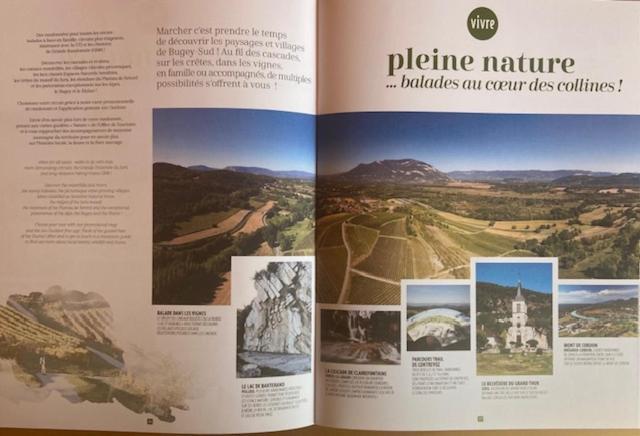 Au Chateau Saint Blaise Virignin Екстер'єр фото